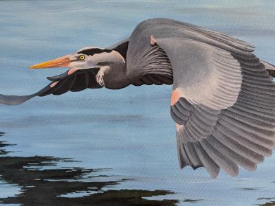 Great Blue Great Blue