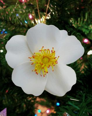 Cherokee Rose Hanging Ornament Cherokee Rose Hanging Ornament