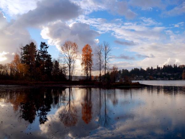 Juanita Bay of lake Washington, Kirkland WA