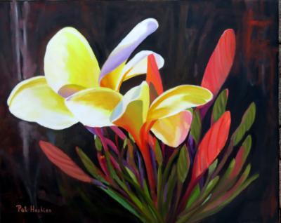 Frangipani Frangipani