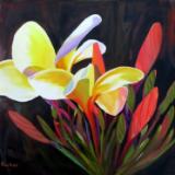 Frangipani 