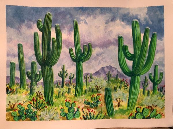 Saguaro Forest