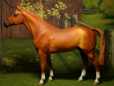 New! custom re-paint