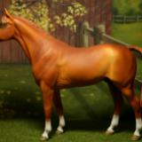 New! custom re-paint