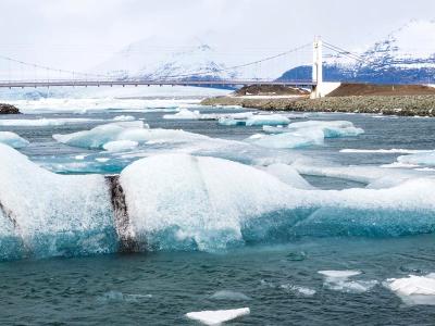 Ice Muppet in Jokulsarlon Inlet Ice Muppet in Jokulsarlon Inlet
