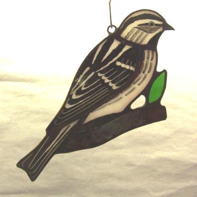 Black & White Warbler Black & White Warbler