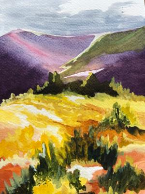 Mammoth Meadow (sold)