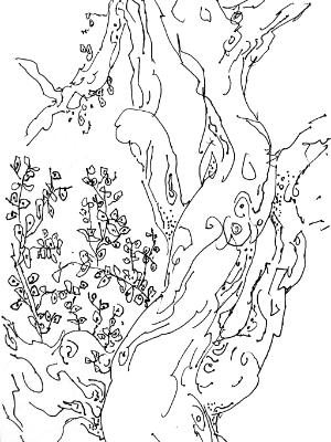 Twisted Tree Twisted Tree