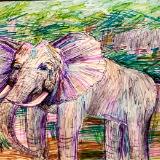An Elephant Day
