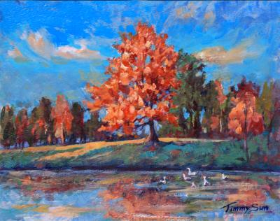 Maples and ducks