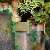 DOLL HOUSE GALLERY ~ ABANDONED HOUSE DOLL HOUSE GALLERY ~ ABANDONED HOUSE