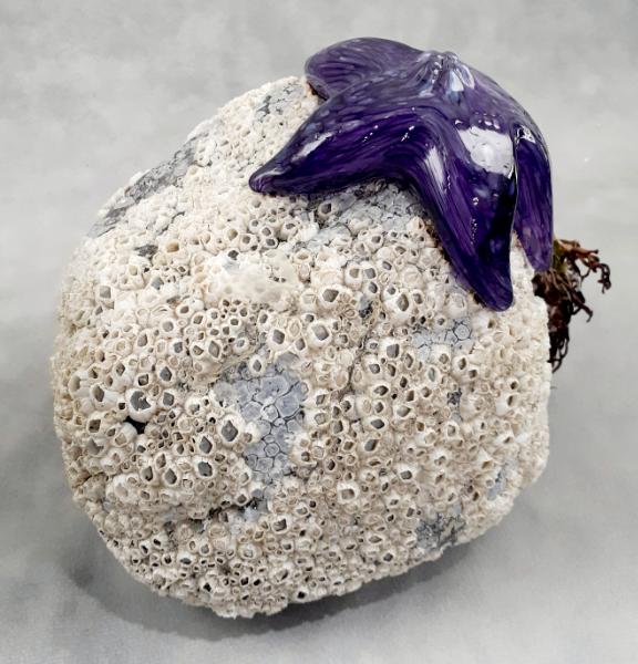 #09162505 Starfish on rock Purple 5.25''HX7''WX5.5''D $150.00