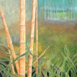 Bamboo Rainforest