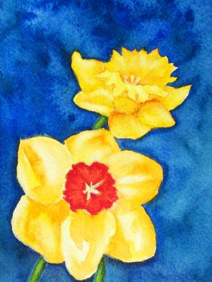 Daffodils Daffodils