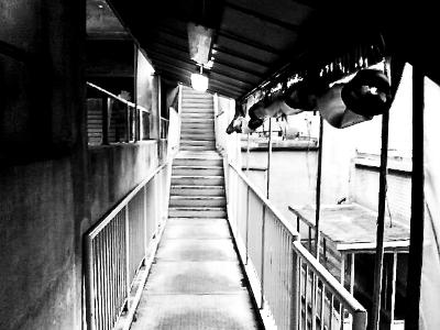 raleigh, 2007  (canon Powershot pro 1)