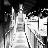 raleigh, 2007  (canon Powershot pro 1)