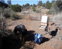 Whiskey Creek Wash