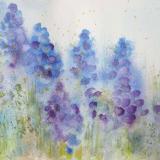 Grape Hyacinths ~ Sold