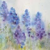 Grape Hyacinths ~ Sold