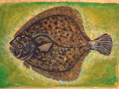 Homage to a Turbot