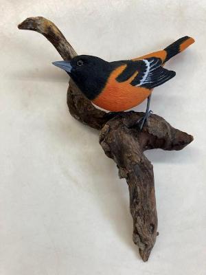 Northern Oriole #6       