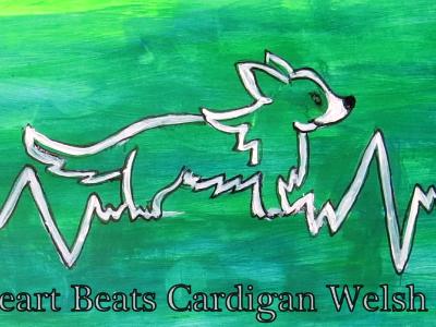 Cardi Bumper Sticker