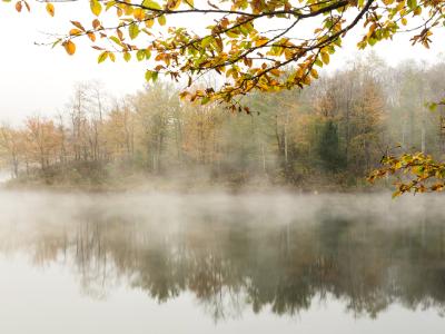Dense Autumn Fog on Big Pond Dense Autumn Fog on Big Pond
