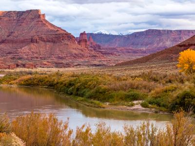 Fisher Towers and Lone Yellow Tree (Click for full width) Fisher Towers and Lone Yellow Tree (Click for full width)