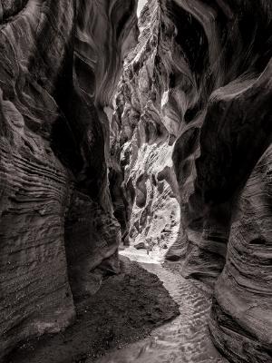 Willis Creek Slot Canyon Black & White Willis Creek Slot Canyon Black & White