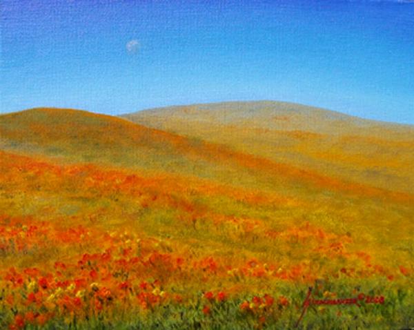 California Poppies