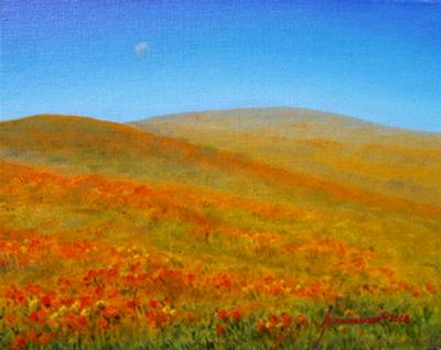 California Poppies