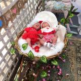 Great photos shared