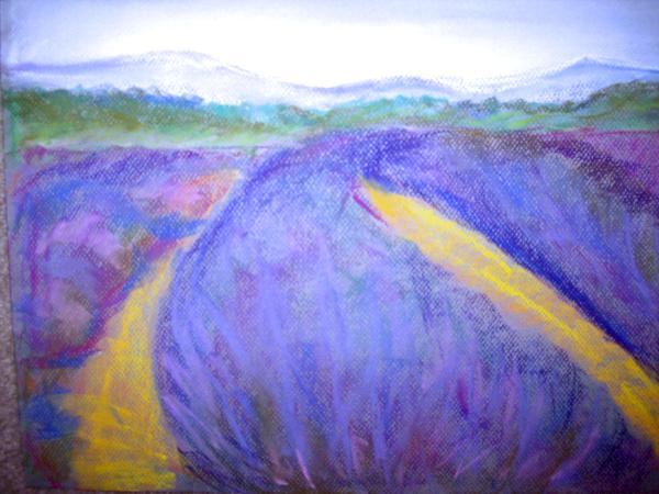 Lavender Field