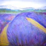 Lavender Field