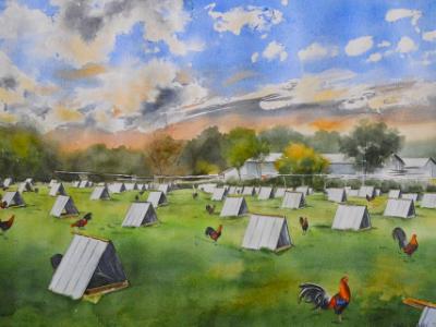 Rooster breeding place in Wyoming - USA, 56cm x 76cm, 2018 Rooster breeding place in Wyoming - USA, 56cm x 76cm, 2018