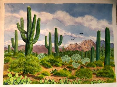 Saguaros and Catalina Mountains