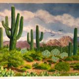 Saguaros and Catalina Mountains