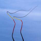 Abstracts Abstracts