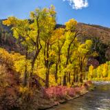 Cottonwood Corner on the Fryingpan 