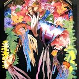 NANCY   FARRAR   COUGHLIN