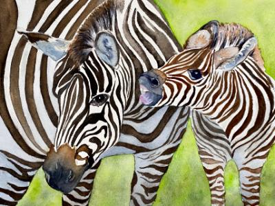 Mom and Baby Zebra Mom and Baby Zebra