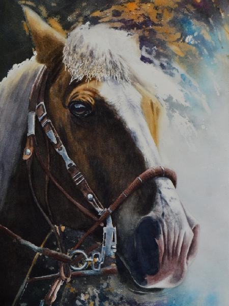 The beauty of the Peruvian Paso Horse, 38cm x 56cm, 2019
