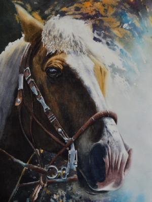 The beauty of the Peruvian Paso Horse, 38cm x 56cm, 2019 The beauty of the Peruvian Paso Horse, 38cm x 56cm, 2019