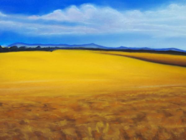 "Field of Gold"