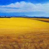 "Field of Gold"