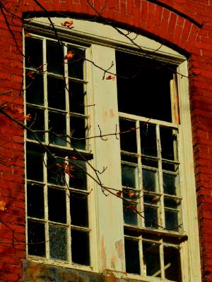 the broken window 