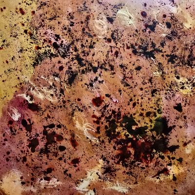 Losing one's identity as years of captivity drains each individual dry Losing one's identity as years of captivity drains each individual dry