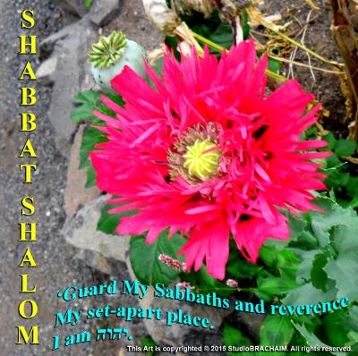 Lev 19:30~Shabbat Shalom Lev 19:30~Shabbat Shalom