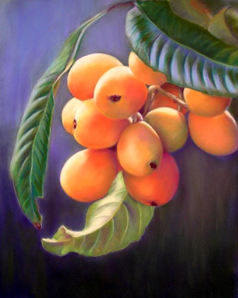 Loquats 3
