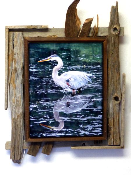 Blue Heron Portrait